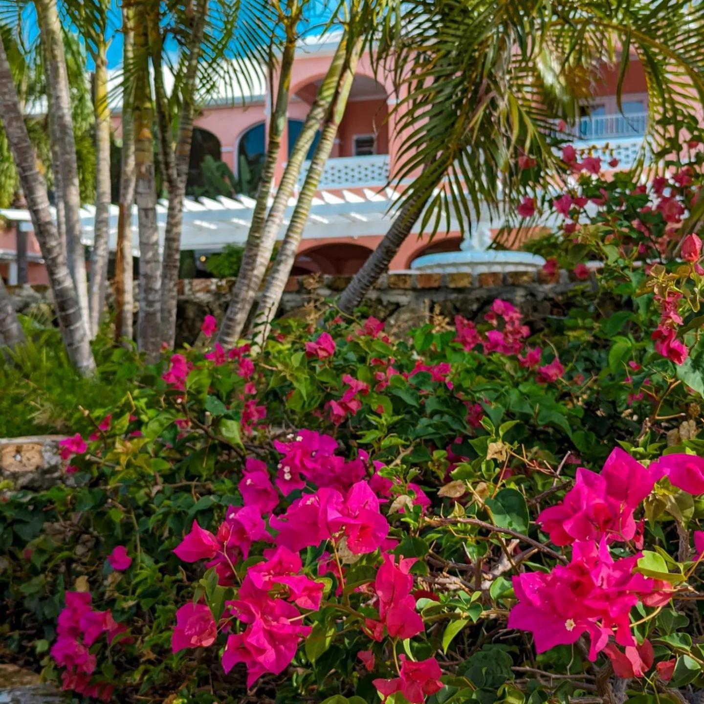 The Buccaneer Beach & Golf Resort Christiansted Quarto foto